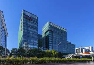 网站建设制作网站建设专家
